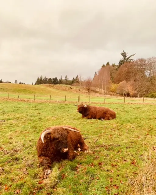 scotland travel with toddler